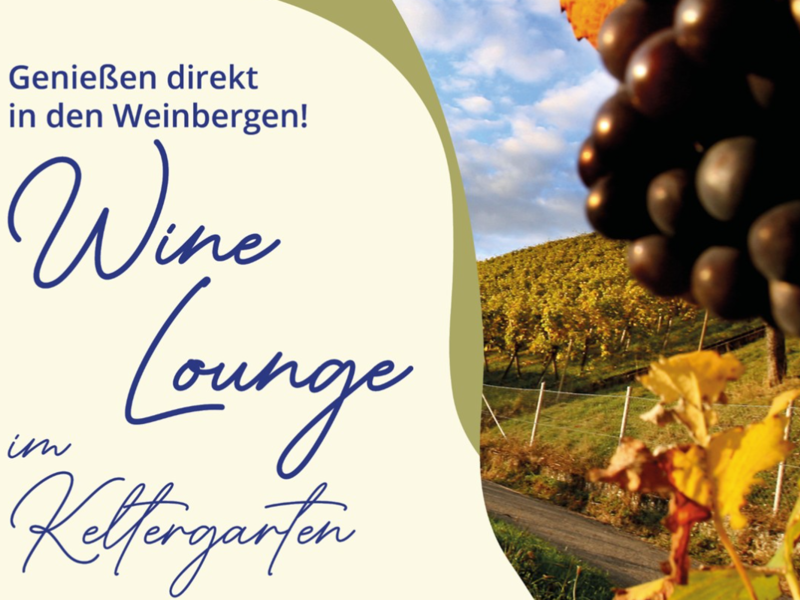 Ein Werbebild zeigt einen Weinberg im Herbst mit reifen Trauben im Vordergrund und der Aufschrift: "Genießen direkt in den Weinbergen! Wine Lounge im Keltergarten."